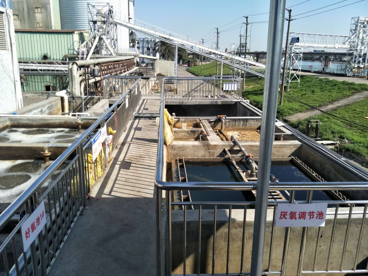 食品廢水植物處理技術(shù)，你知道嗎？